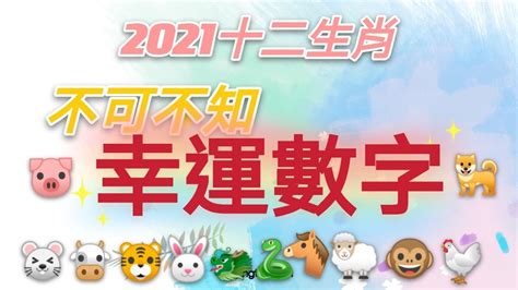 屬狗幸運數字|【生肖數字】屬你最旺！12生肖幸運數字全公開：財運、桃花運隨。